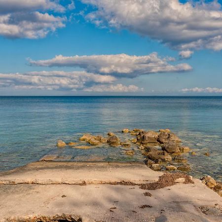Mandy Seafront Studios Zákynthos by Eksteriør billede